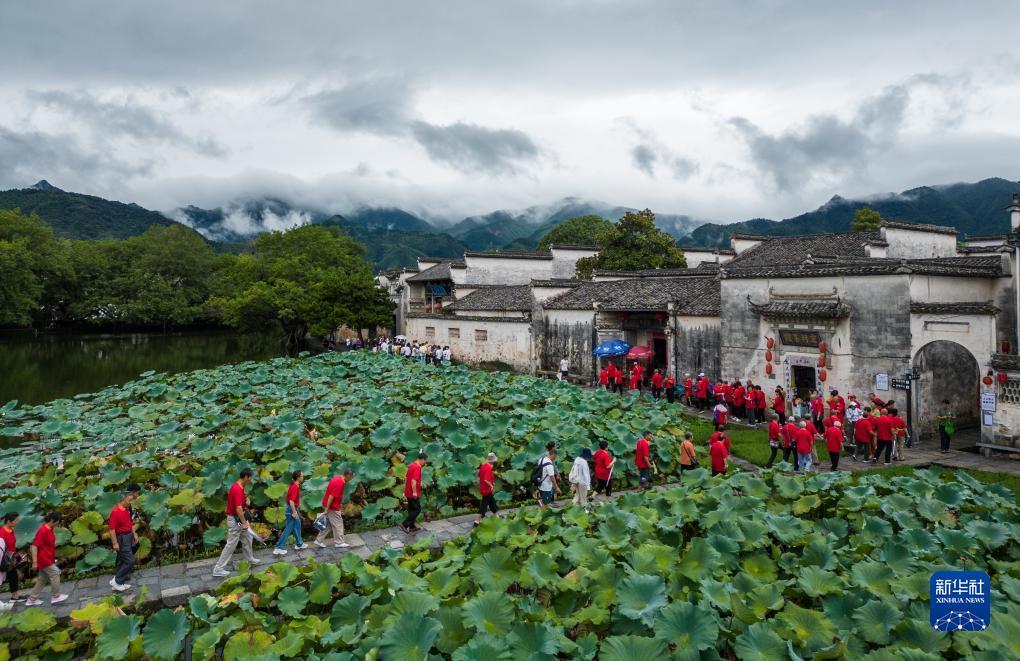 免费申请彩金